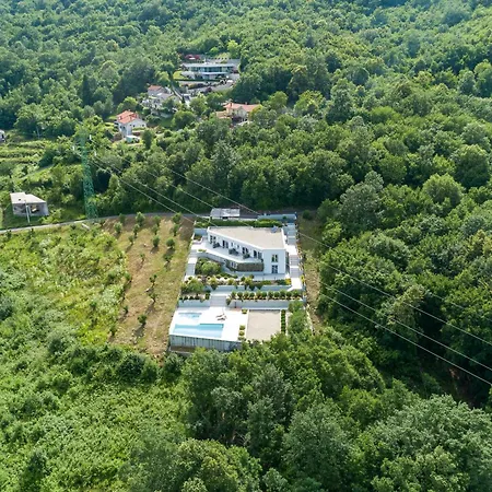 فيلة New In 2024 Lina *