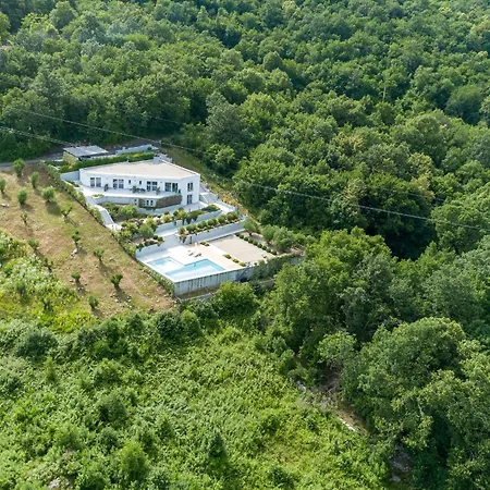 New In 2024 Lina فيلة أوباتيا