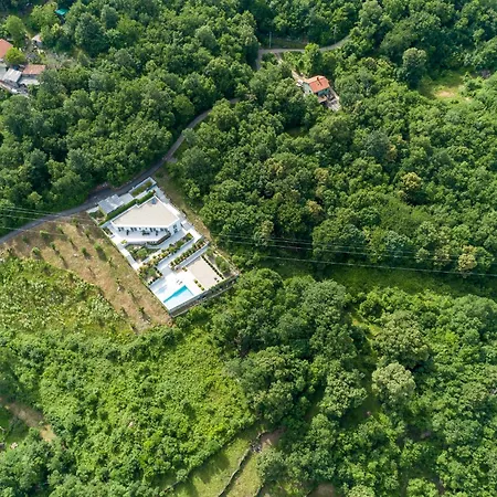 فيلة New In 2024 Lina *