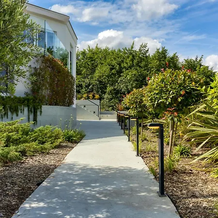 فيلة New In 2024 Lina *